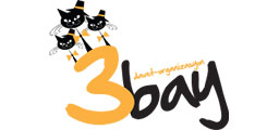 3 Bay Organizasyon